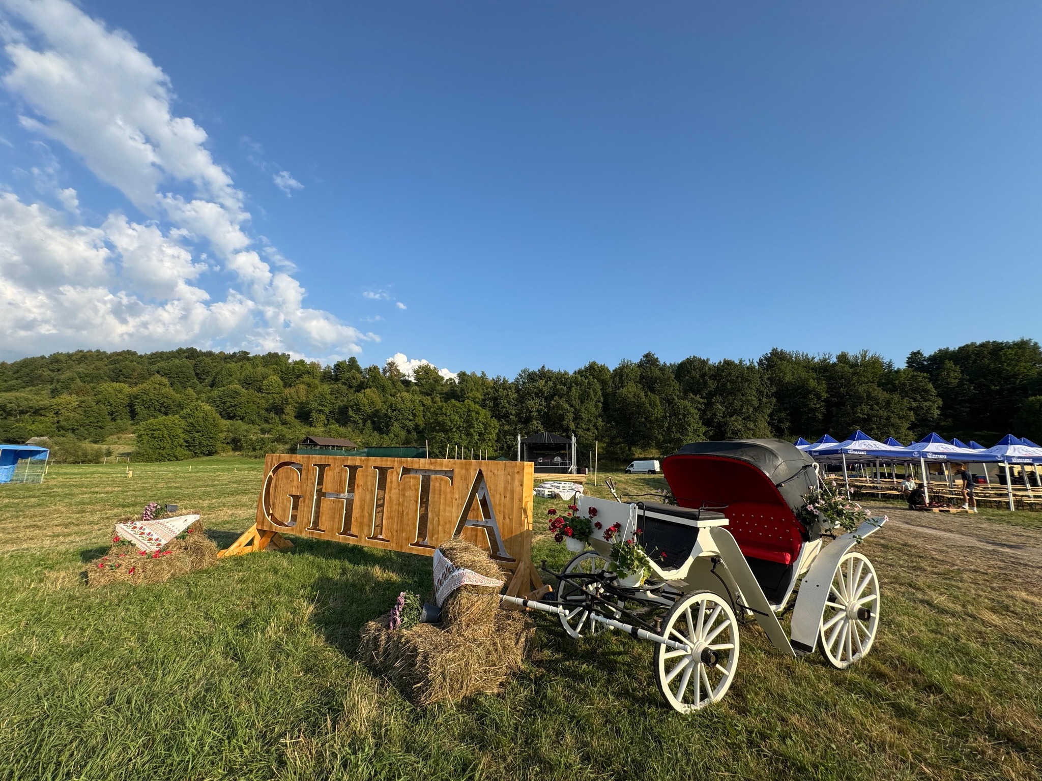 festivalulmicilorlughita.bârgău.ro logo